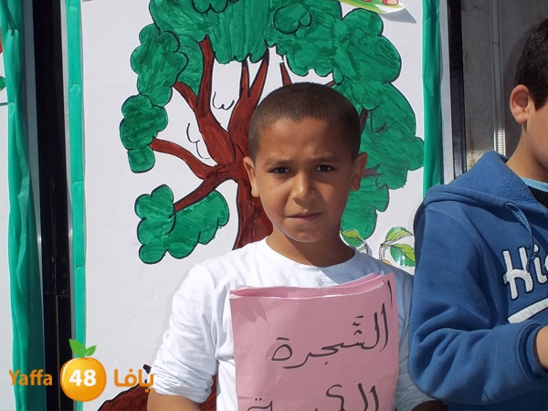 treesnewzahra2 (3).jpg